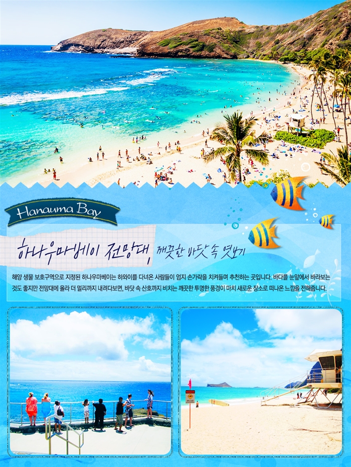 오하우 그곳에 우리가 있다